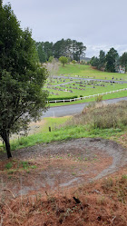Wairoa Mountain Bike Park
