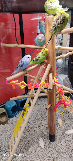 Pet Supply Store «Petco Animal Supplies», reviews and photos, 4209 Wheaton Way, Bremerton, WA 98310, USA