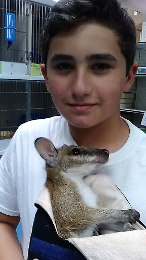 Pet Supply Store «Petco Animal Supplies», reviews and photos, 401 Sunrise Hwy, Patchogue, NY 11772, USA