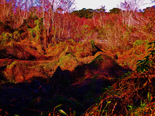 Park «Lake Lotus Park Office», reviews and photos, 1153 Lake Lotus Park Rd, Altamonte Springs, FL 32714, USA