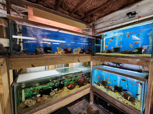 Tropical Fish Store «Keller Farms», reviews and photos, 3405 Denton Hwy, Haltom City, TX 76117, USA