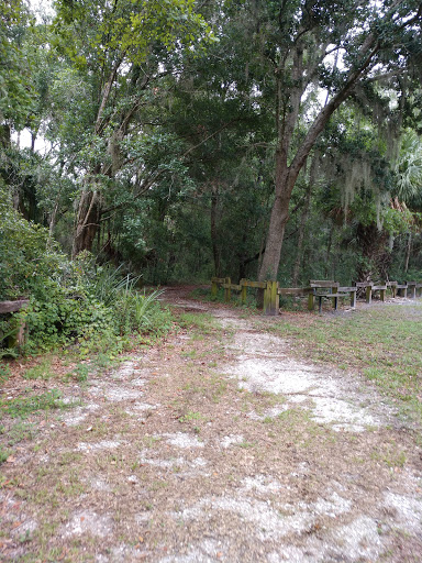Park «Lutz Dog Park», reviews and photos, 122 1st Ave SW, Lutz, FL 33548, USA