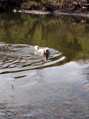 Dog River Field - photo 3