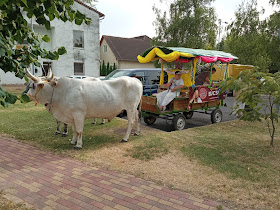 Balatonmáriafürdő