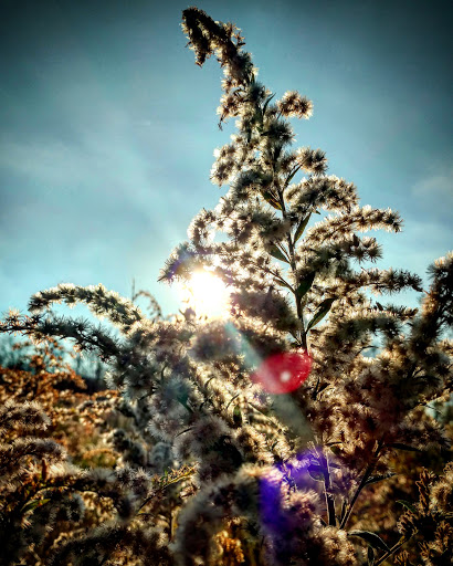 Park «Macgregor Park», reviews and photos, Macgregor Park Rd, Westfield, IN 46074, USA