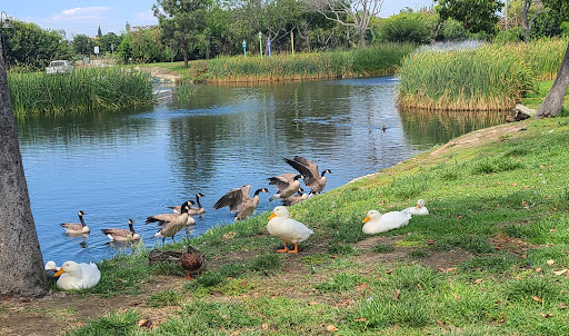 Park «Wilderness Park», reviews and photos, 10999 Little Lake Rd, Downey, CA 90241, USA