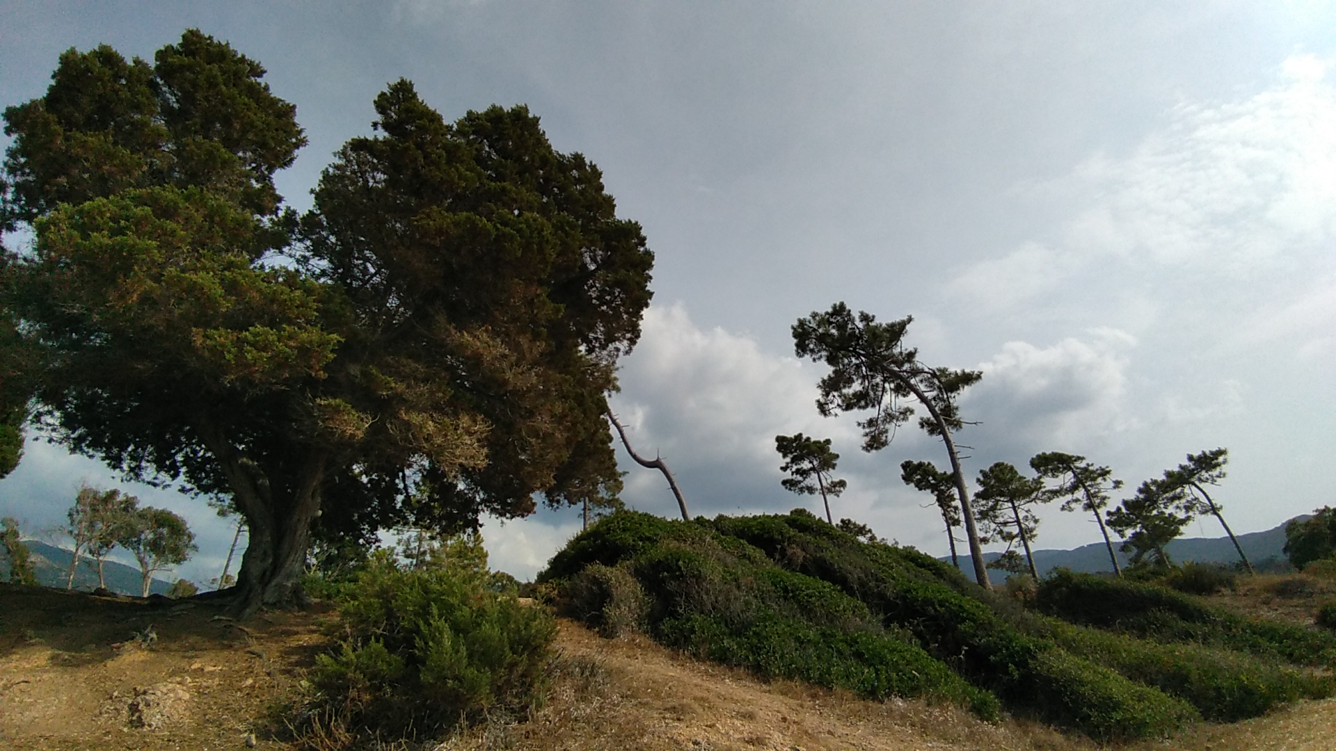 Photo n° 3 de l'avis de Marie-Dominique.o fait le 28/08/2019 à 13:21