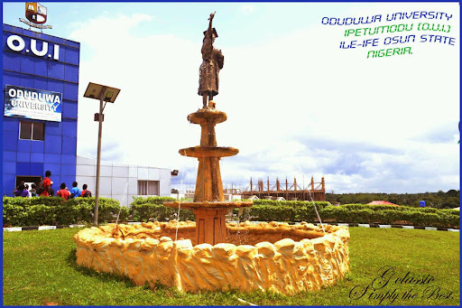 Oduduwa College Of Professional Studies,Idimu Oduduwa University, 213 Idimu Rd, Idimu, Lagos, Nigeria, Public School, state Lagos