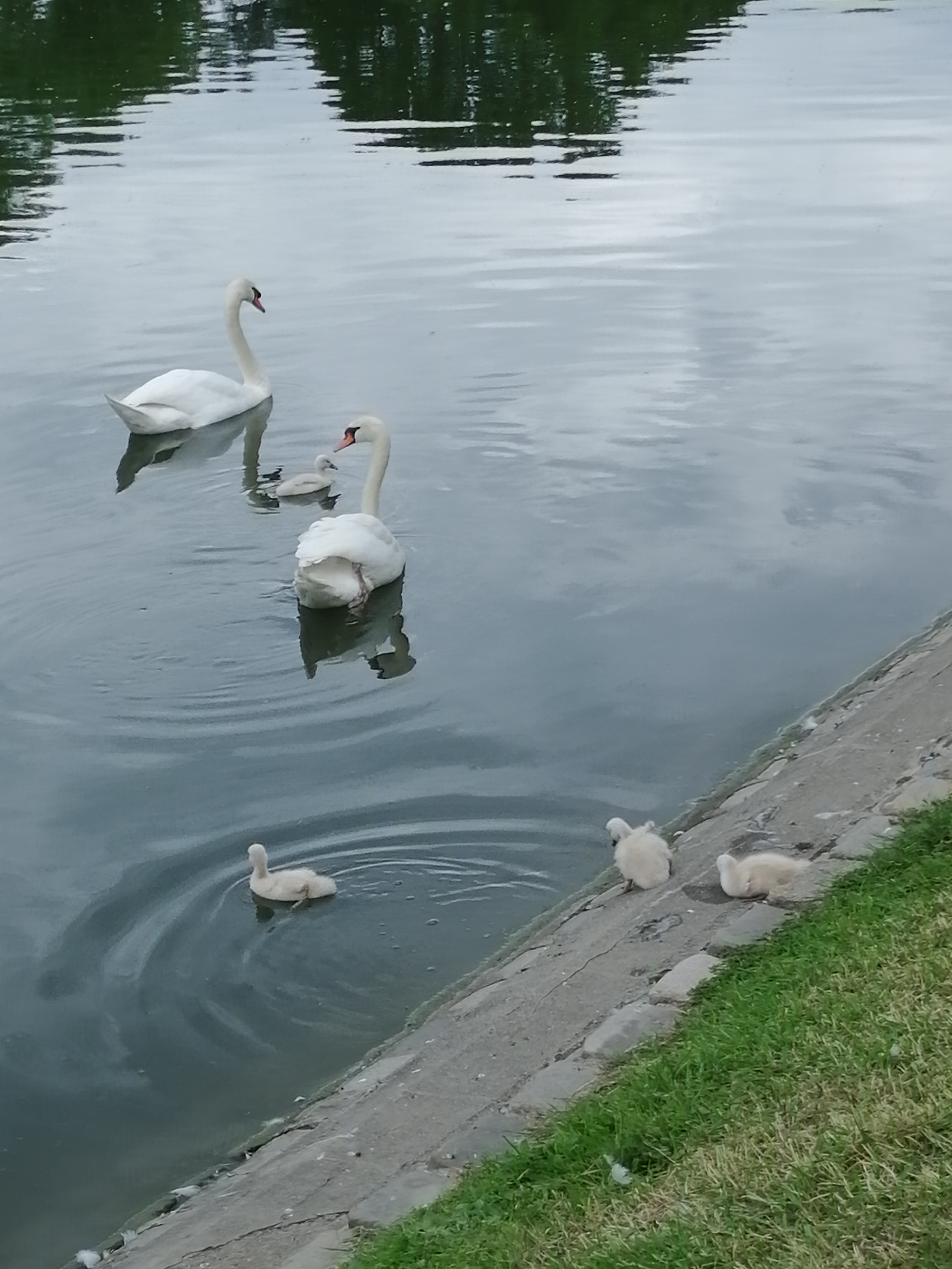 Photo n° 2 de l'avis de Janine.A fait le 20/05/2019 à 23:07