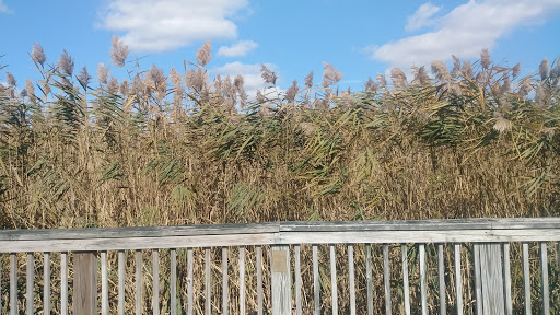 Educational Institution «The Audubon Society of Rhode Island Environmental Education Center», reviews and photos, 1401 Hope St, Bristol, RI 02809, USA