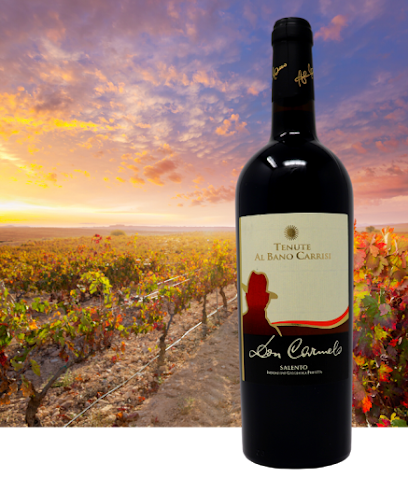 Wine 2 Wine Imports (Lamborghini & Bugatti Wines)