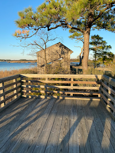 Tidal Marsh Overlook Trail