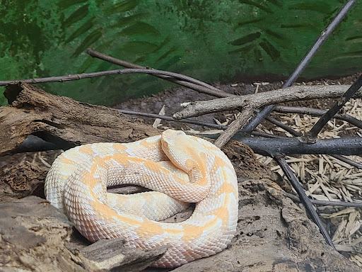 Zoo «Catoctin Wildlife Preserve and Zoo», reviews and photos, 13019 Catoctin Furnace Rd, Thurmont, MD 21788, USA