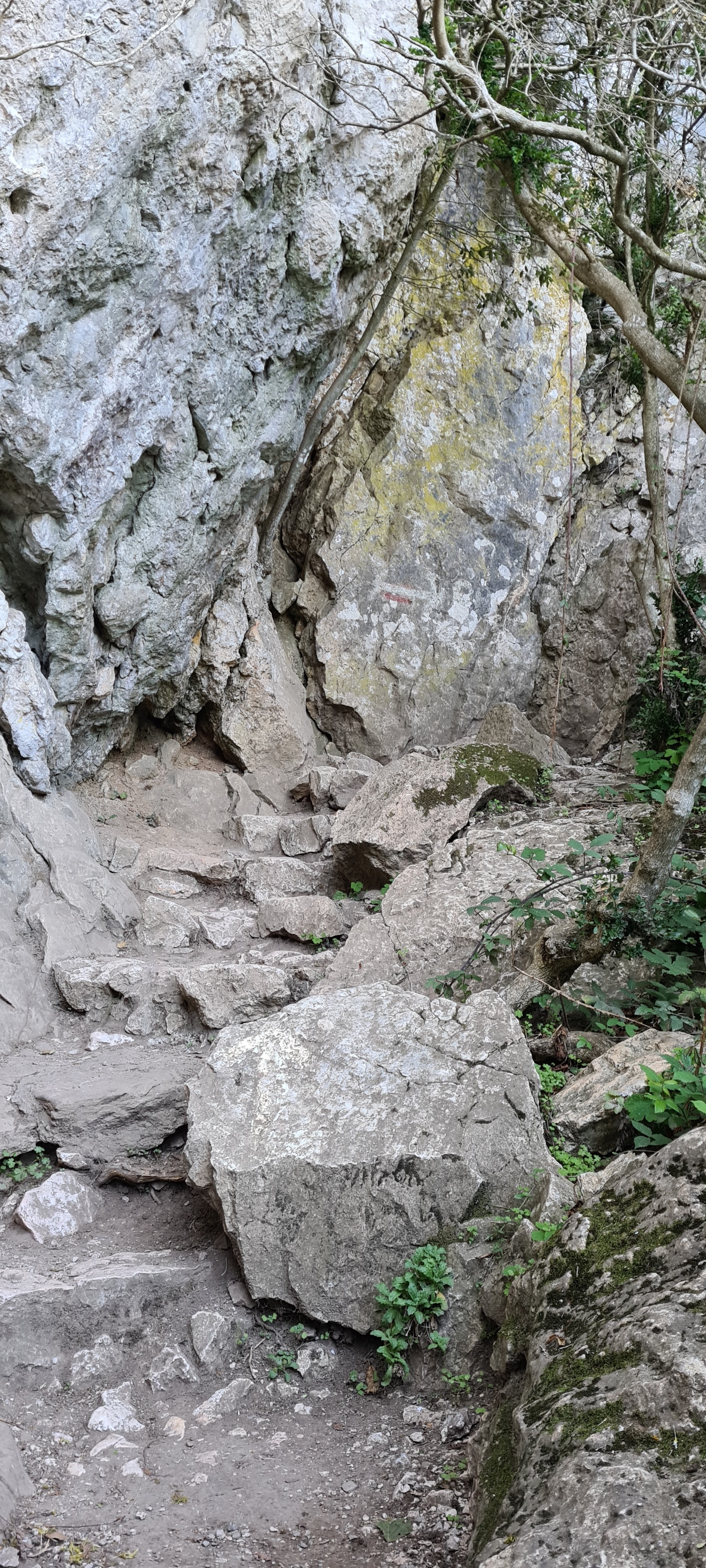 Photo n° 3 de l'avis de Franck.e fait le 08/10/2021 à 18:20