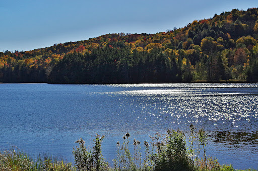 General Store «Falls General Store», reviews and photos, 7 Cox Brook Rd, Northfield, VT 05663, USA