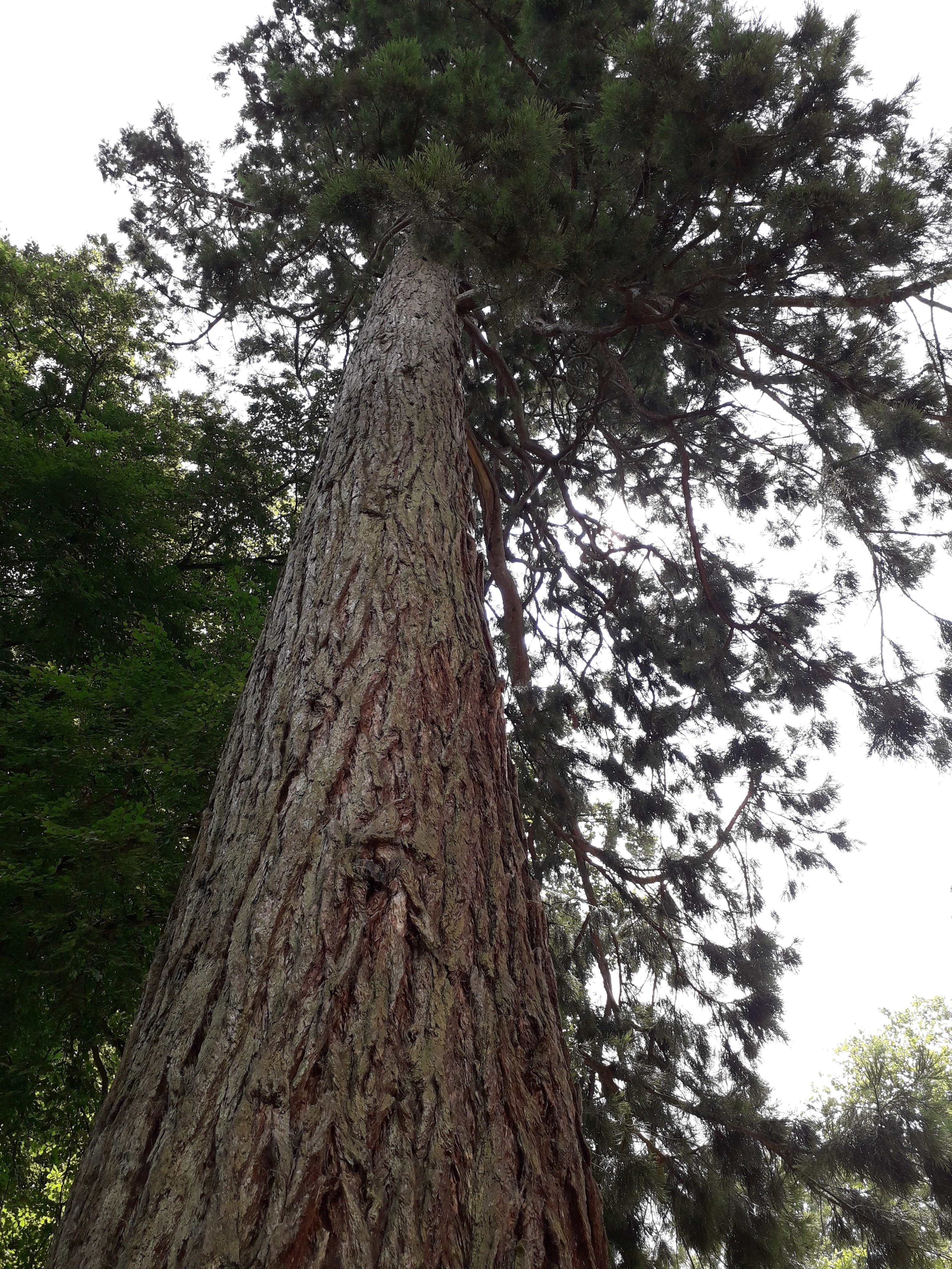 Photo n° 13 de l'avis de Le.o fait le 22/07/2022 à 15:09