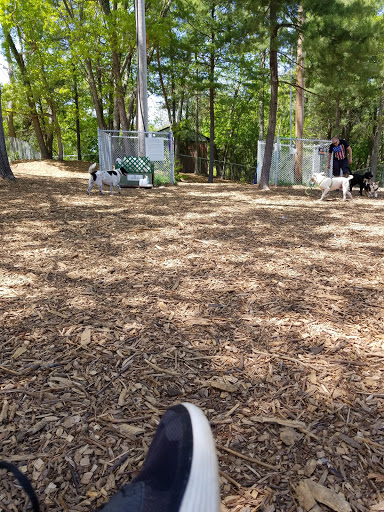 Dog Park «Maynard Dog Park», reviews and photos, 128 Waltham St, Maynard, MA 01754, USA