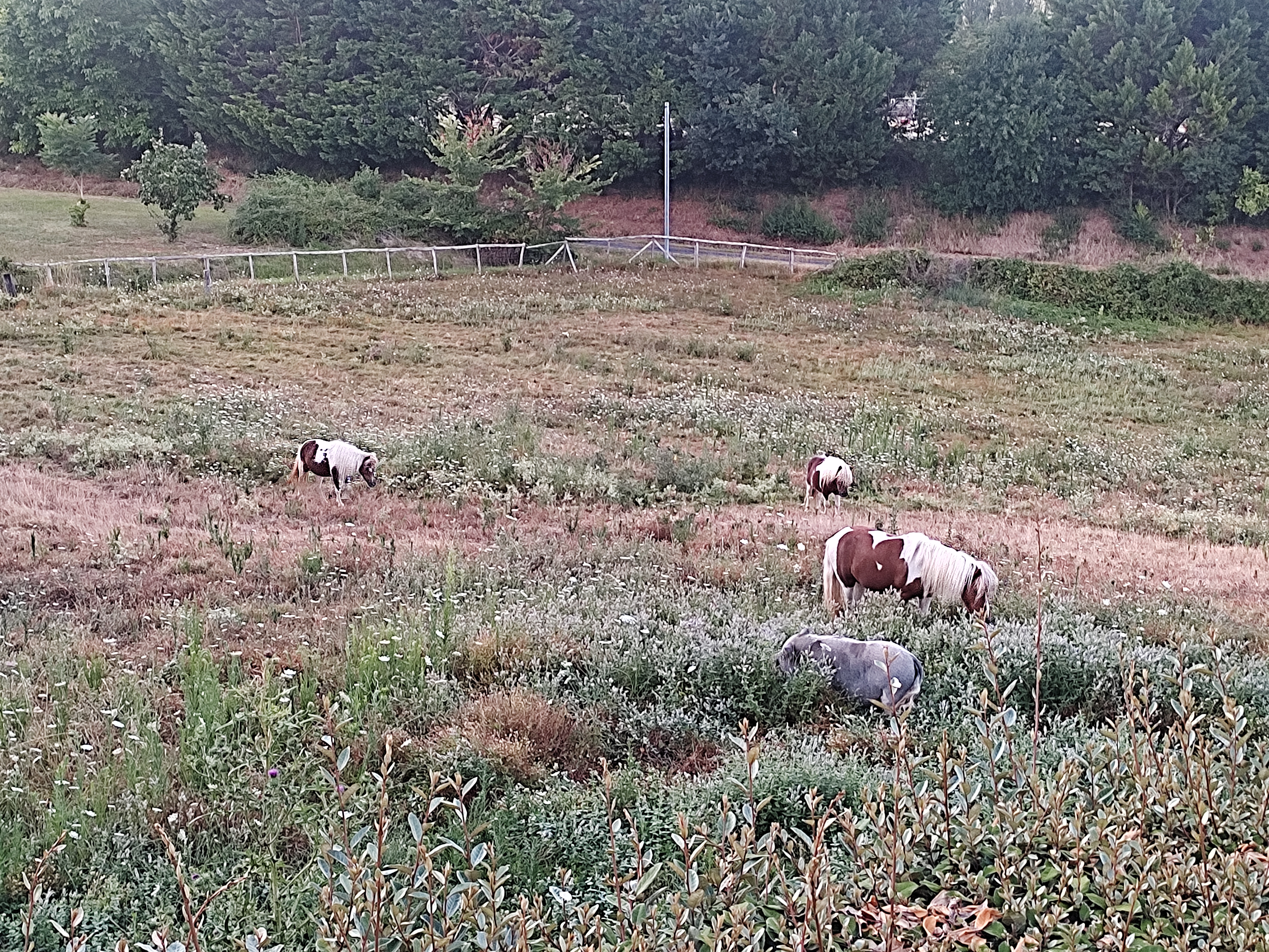 Photo n° 3 de l'avis de Alicia.o fait le 18/08/2023 à 16:55