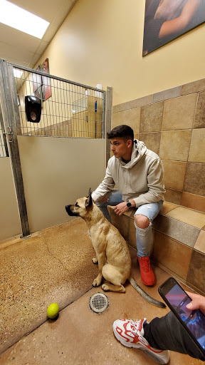 Pet Supply Store «PetSmart», reviews and photos, 2901 Texas Sage Trail, Fort Worth, TX 76177, USA