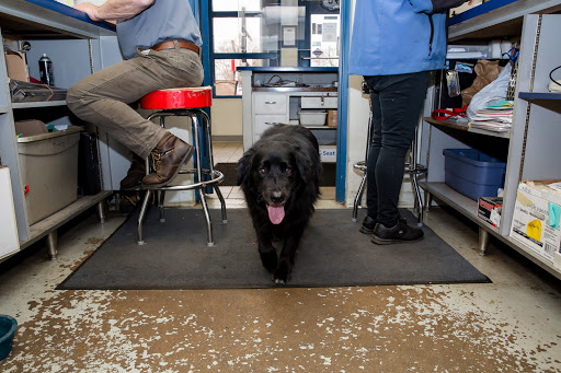 Auto Repair Shop «Dale Feste Automotive», reviews and photos, 1801 Mainstreet, Hopkins, MN 55343, USA