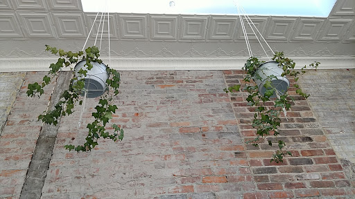 Coffee Shop «Tipico Coffee», reviews and photos, 128 Fargo Ave, Buffalo, NY 14201, USA