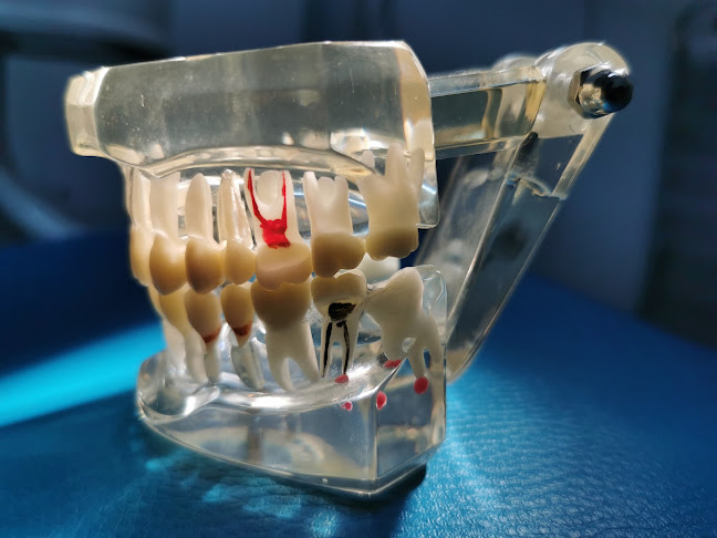Consultorio Odontológico Dr. Daniel Ferrari - Dentista