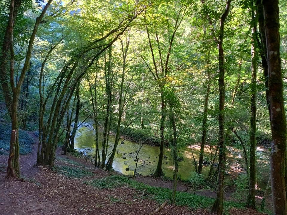 Photo n° 6 de l'avis de Manuela.a fait le 12/08/2022 à 11:12