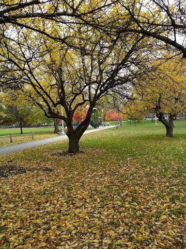 Park «Welles Park», reviews and photos, 2333 W Sunnyside Ave, Chicago, IL 60625, USA