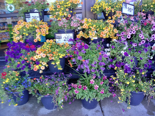 Shopping Mall «Bond Shopping Center», reviews and photos, 1891 S State Rd, Upper Darby, PA 19082, USA