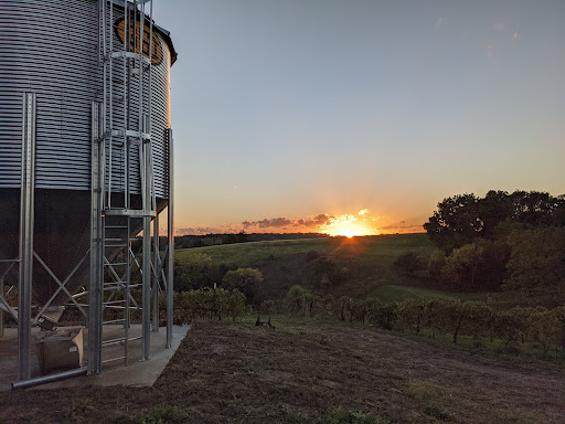 Vineyard «Cedar Ridge Winery & Distillery», reviews and photos, 1441 Marak Rd NW, Swisher, IA 52338, USA