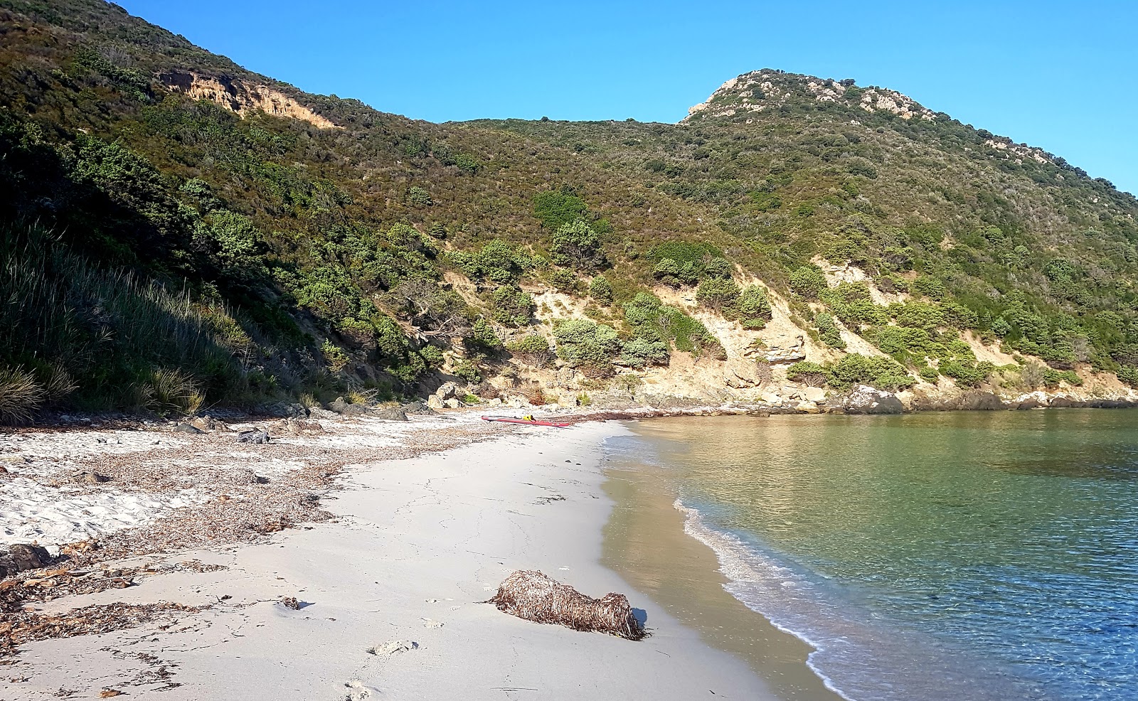Photo of Acciola beach wild area