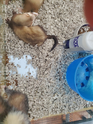 Pet Supply Store «Pet Supermarket, Inc.», reviews and photos, 3911 Lemmon Ave, Dallas, TX 75219, USA