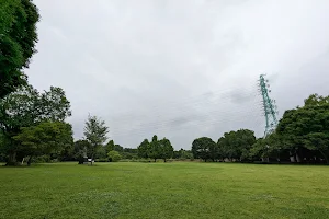 Minuma Nature Park image