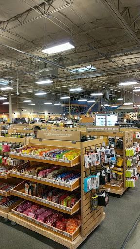 Camping Store «REI», reviews and photos, 710 S Rampart Blvd, Las Vegas, NV 89145, USA