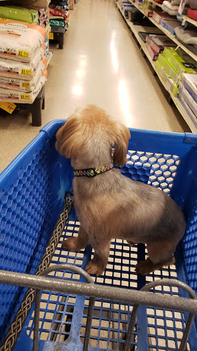 Pet Supply Store «PetSmart», reviews and photos, 288 12th Ave, Hanford, CA 93230, USA