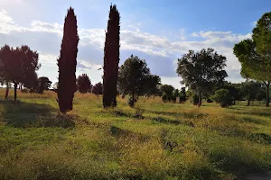 Parco Archeologico di Centocelle image