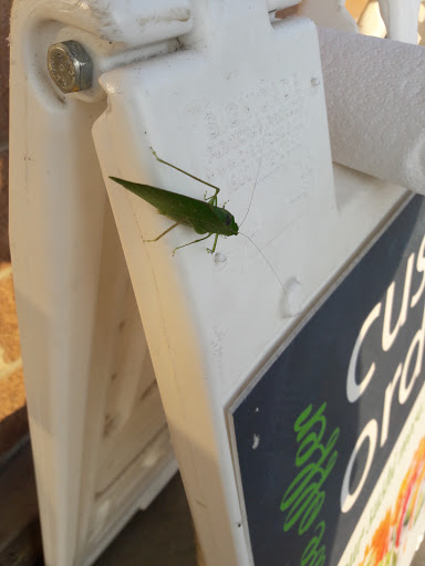 Grocery Store «Kroger Marketplace», reviews and photos, 262 W Main St, Amelia, OH 45102, USA