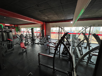 LMC MUSCLE CENTER - GYM