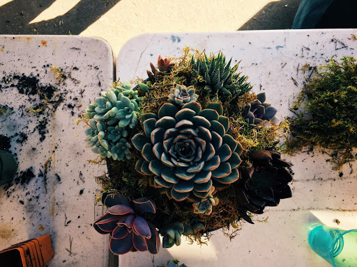 Hardware Store «San Andres Hardware», reviews and photos, 635 W Micheltorena St, Santa Barbara, CA 93101, USA