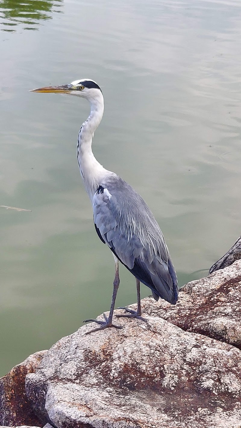 周南市徳山動物園 北園 (入場門)