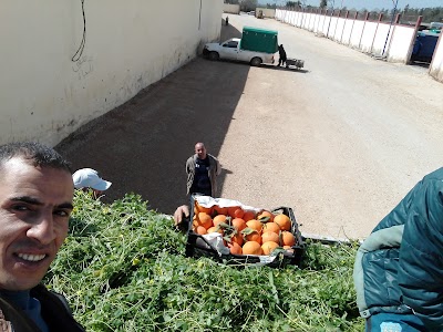 Photos of Bougherra wholesale market