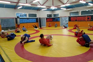 Judo Club Olympique Bayonnais image