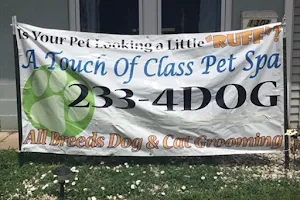 A Touch Of Class Pet Spa image