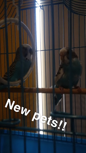 Pet Store «El Granero Pet Shop», reviews and photos, 15700 Atlantic Ave, Compton, CA 90221, USA