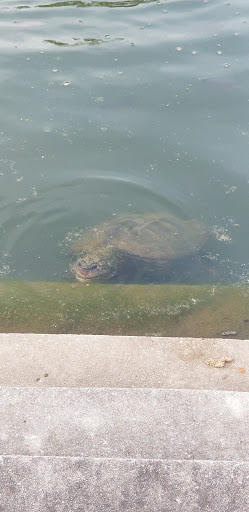 Community Center «Lake City Community Center», reviews and photos, 5471 Jonesboro Rd, Lake City, GA 30260, USA