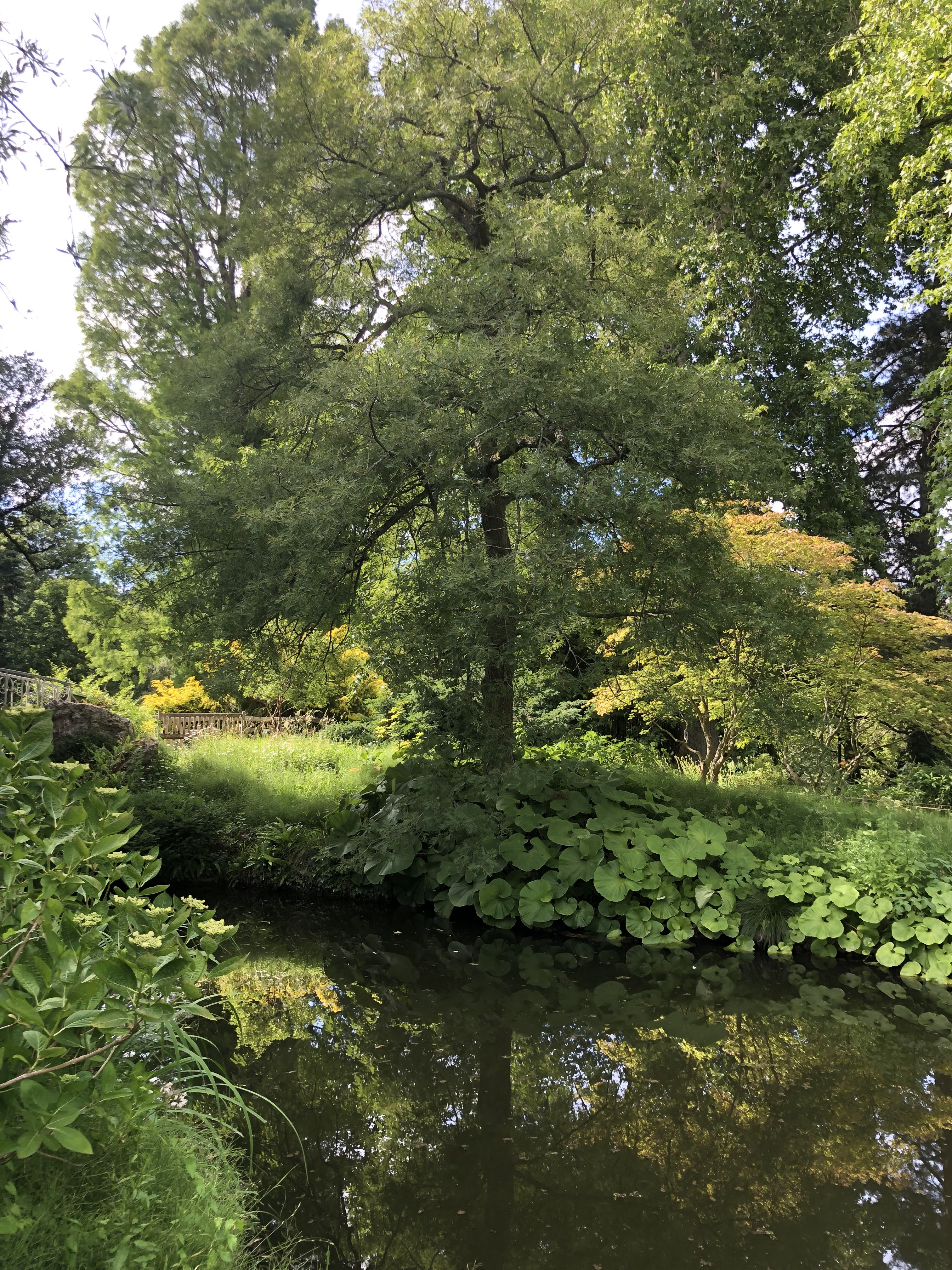 Photo n° 17 de l'avis de Denis.u fait le 18/06/2019 à 20:16
