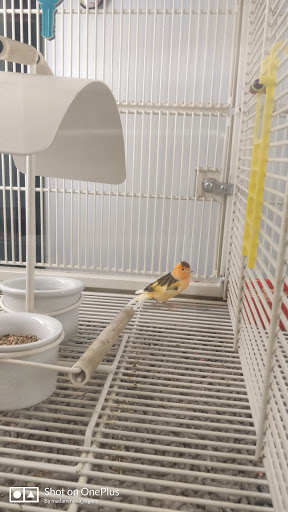 Pet Supply Store «Petco Animal Supplies», reviews and photos, 1350 S Ironton St #120, Aurora, CO 80012, USA