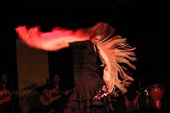 Escuela de Flamenco Online