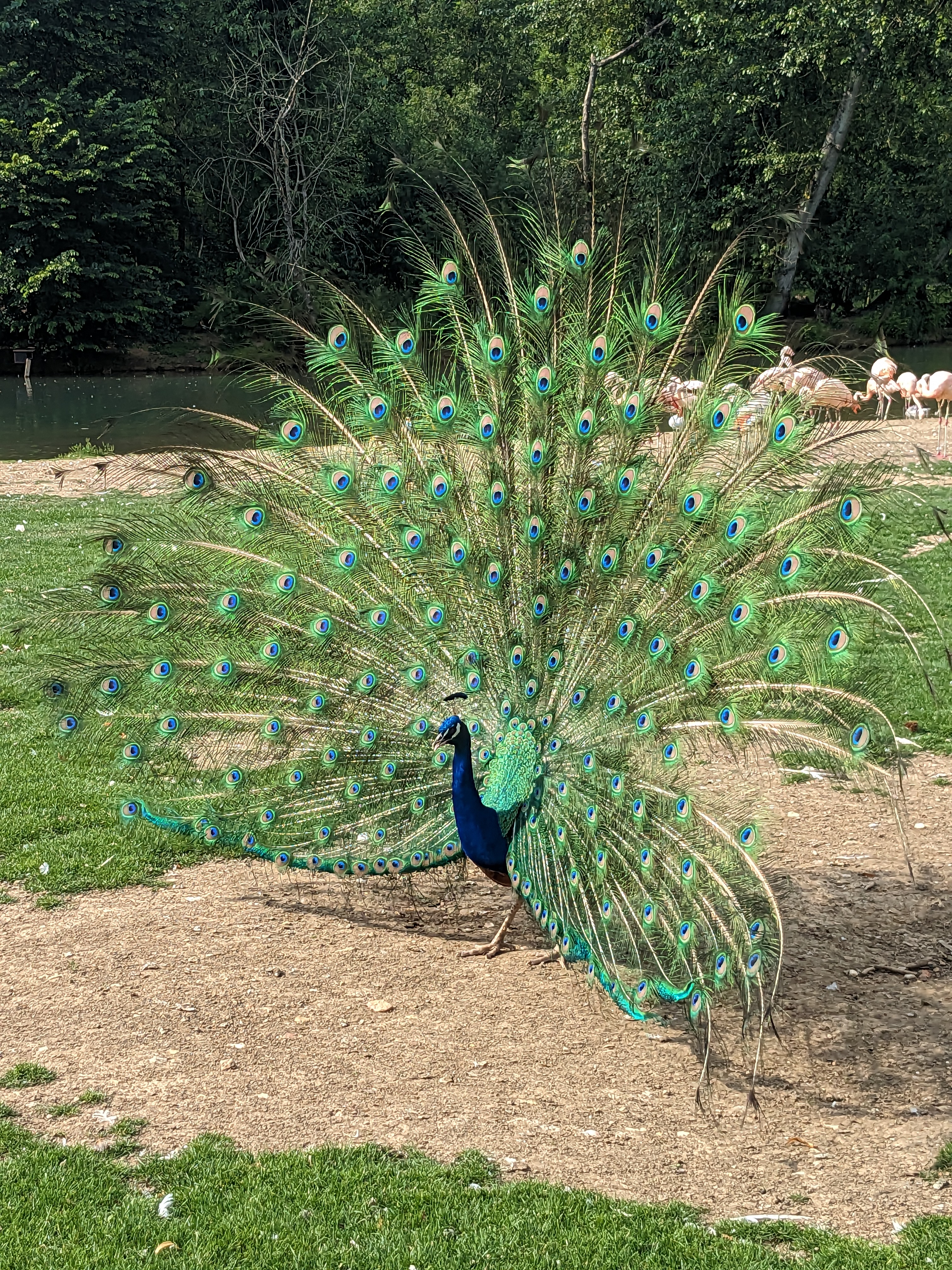 Photo n° 1 de l'avis de jean-luc.t fait le 11/08/2023 à 14:43