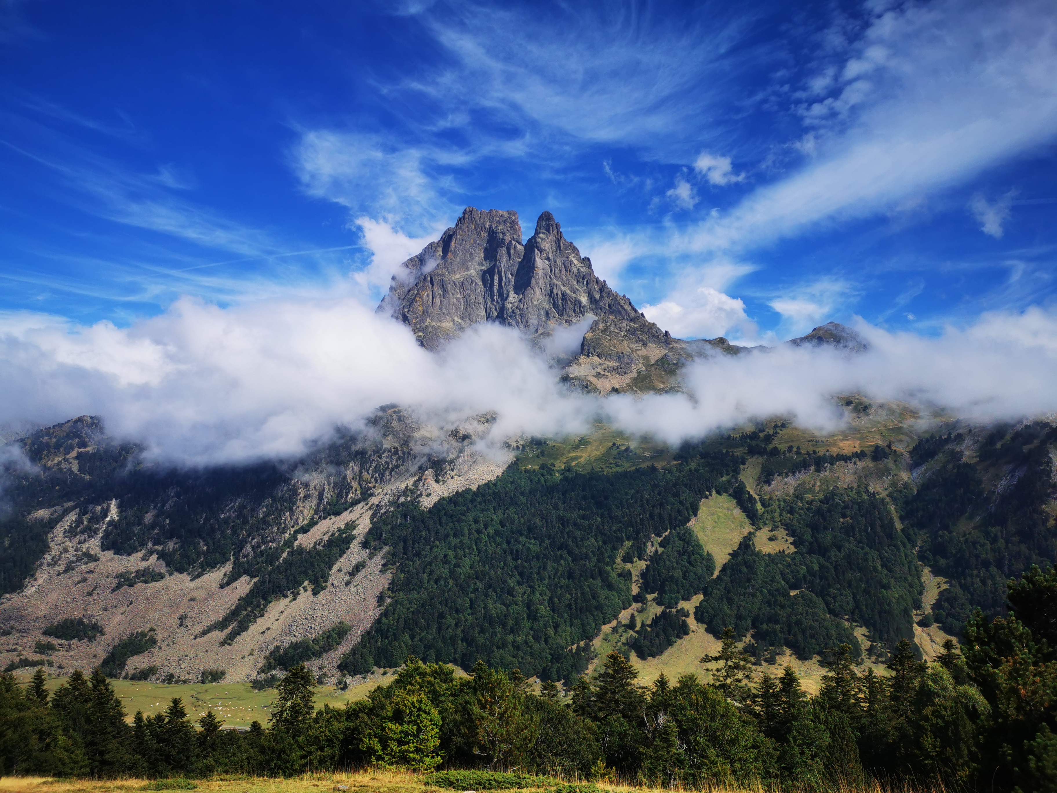 Photo n° 47 de l'avis de viorel.i fait le 01/06/2019 à 11:18
